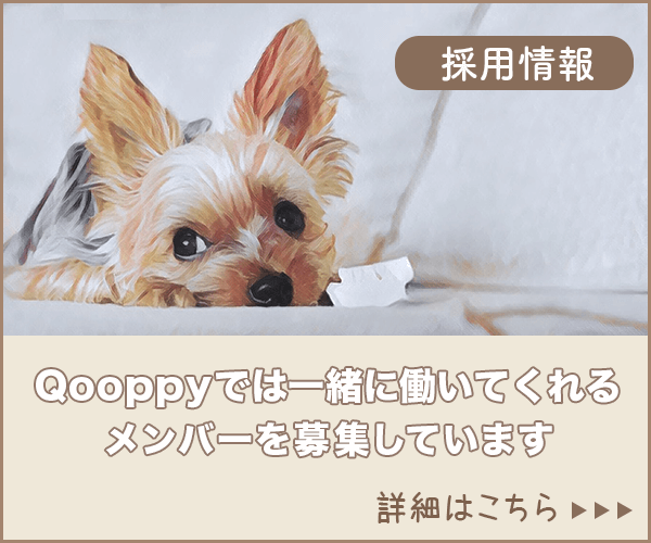 老犬と日光浴の素敵な関係 気分転換や健康維持に 獣医師解説 Qooppy