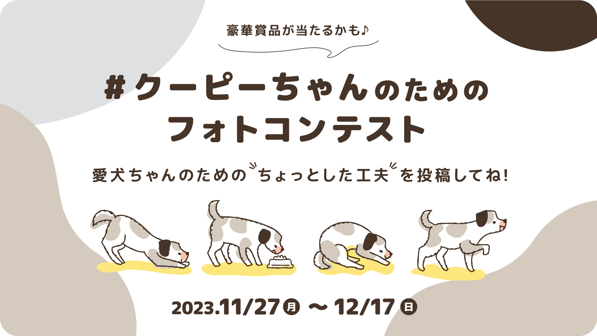 クーピーちゃんのためのフォトコン１